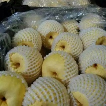 酥梨200~250g纸袋