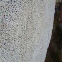 红薯粉面