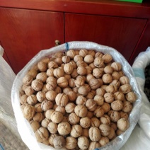 绵核桃30mm以上去皮干