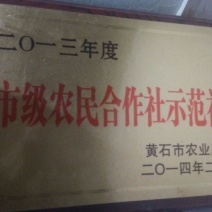 红薯粉面