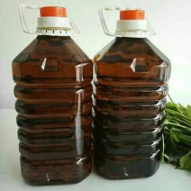 压榨菜籽油一级