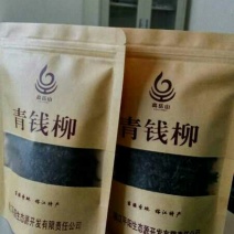 青钱柳茶一级