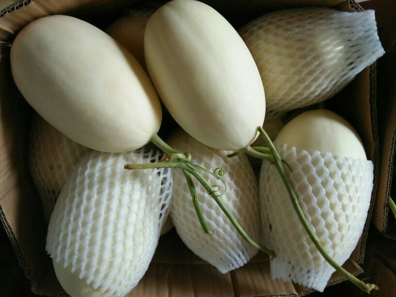 翠梨甜瓜包装销售