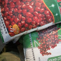 红小豆