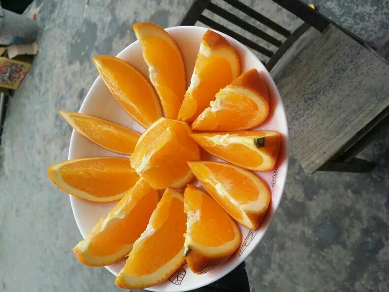 红心脐橙深加工产品展示