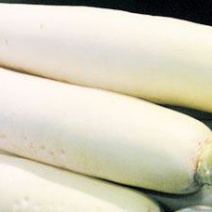 雪剑白萝卜2~2.5斤起