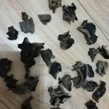 秋耳二级