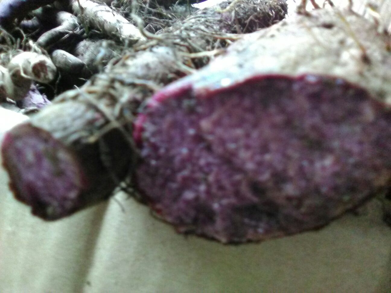 展示一根完整紫色淮山药的外观,表皮呈灰褐色,切开后肉质呈现鲜艳的紫红色,质地细腻 紫色淮山药特写