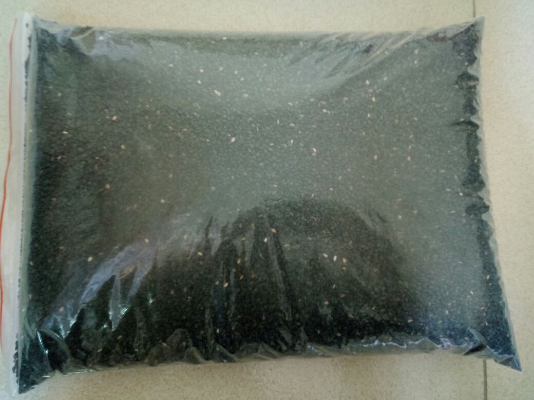 黑芝麻与分司厅籽粒对比图