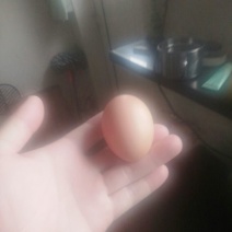 土鸡蛋食用50g以下