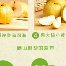 砀山梨500~550g纸箱