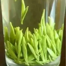 五峰绿茶