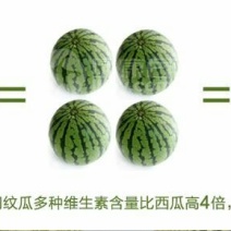 网纹瓜3斤以上椭圆形