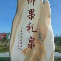 酥梨250~300g纸袋