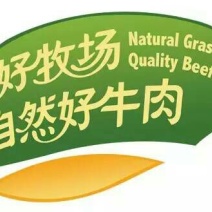 牛肉干黄牛肉鲜肉