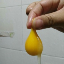 贵妃鸡蛋食用50g以下