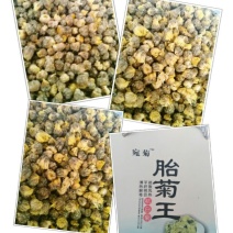 菊花茶