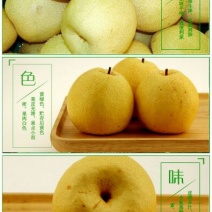 砀山梨60~100g纸箱
