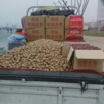 纸皮核桃