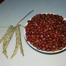 红小豆袋装
