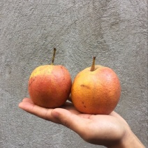 红梨