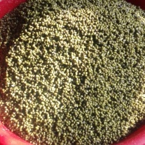 粉皮散装手工粉皮
