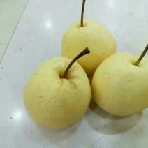 礼泉酥梨60~100g纸箱