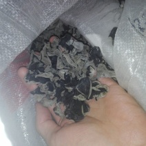 黑木耳一级