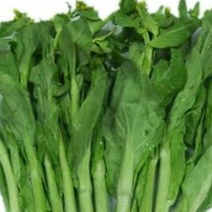 油菜苔10~15厘米