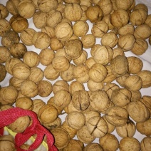 薄皮核桃去皮干