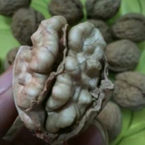 薄皮核桃去皮干