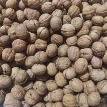 香玲核桃25mm以下去皮干