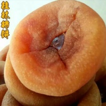 柿饼1~2两