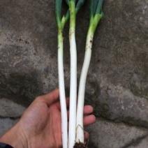 晚抽