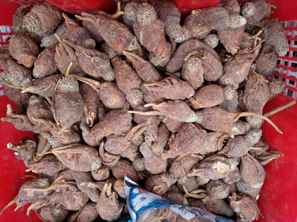 三组天然农产品并置:左侧为淡黄色的西洋参切片,表面有细密纹理;中间为深紫黑色的黑枸杞干果,颗粒饱满呈纺锤形;右侧为深灰色至近黑色的黑玛卡粉末,质地细腻,背景为木质砧板,整体呈现自然健康风格 西洋参切片、黑枸杞干果与黑玛卡粉并列展示