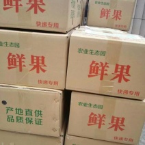 酥梨150~200g纸袋