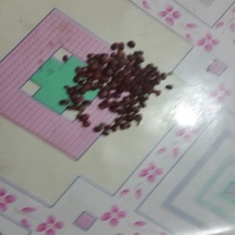 红小豆散装