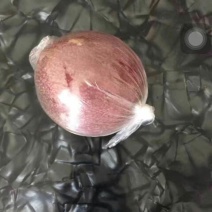 百香果紫果60~70g