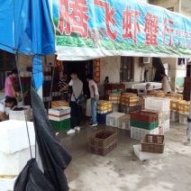 罗氏沼虾食用8~10钱活虾