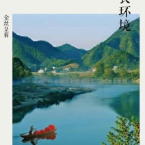 皇菊茶