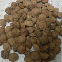 大扁一级