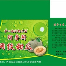 网纹瓜3斤以上椭圆形