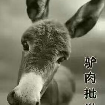 驴肉鲜货