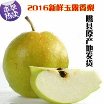 玉露香100~150g纸箱