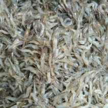 河虾活虾26~30只/kg
