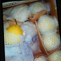 雪花梨250~300g纸袋