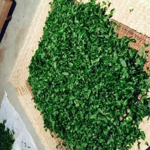 百年大树茶特级