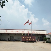 皇冠梨250~300g纸袋