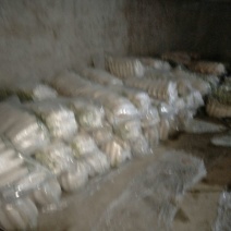 白萝卜1.5~2斤起