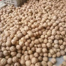 薄皮核桃去皮干